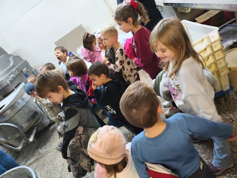  Leptirići i Bumblebees u posjetu pekari - slika broj: 5